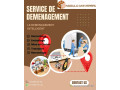 demenagement-pro-small-0