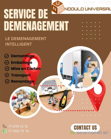 demenagement-pro-big-0