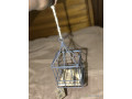 objet-decoration-small-0
