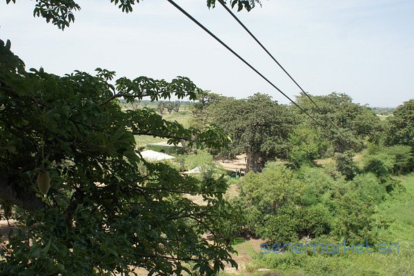 terrain-cooperative-dhabitat-a-sindia-big-0