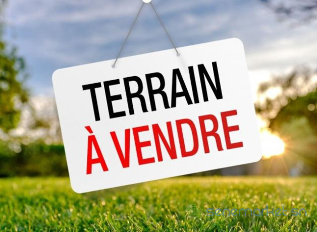 terrains-en-vente-lac-rose-et-environs-big-0