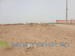 terrains-disponibles-au-pole-urbain-de-diamniadio-pud-big-0