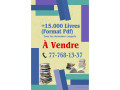 vente-de-livres-format-pdf-small-0