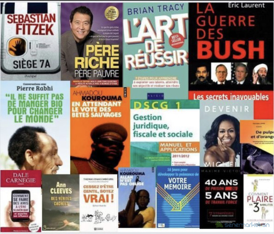 vente-de-livres-format-pdf-big-1