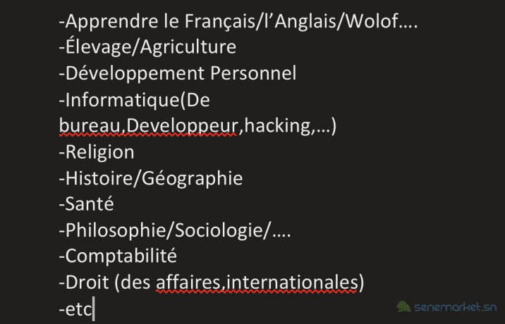 vente-de-livres-format-pdf-big-2
