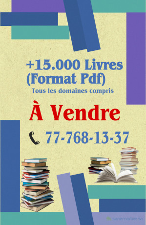 vente-de-livres-format-pdf-big-0