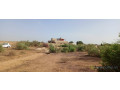 4-terrains-jumeles-a-saly-joseph-small-2