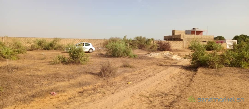 4-terrains-jumeles-a-saly-joseph-big-3