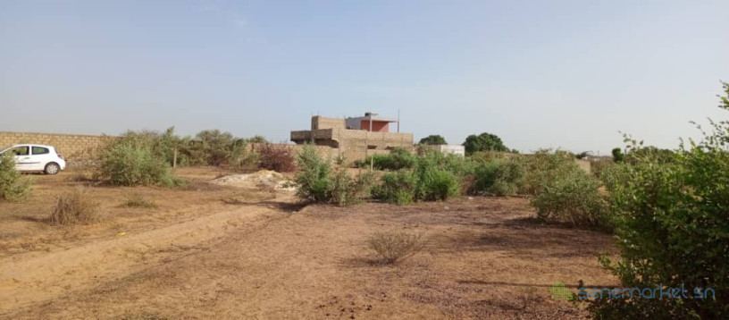 4-terrains-jumeles-a-saly-joseph-big-2