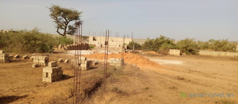 4-terrains-jumeles-a-saly-joseph-big-0