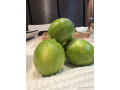 citron-limes-de-tahiti-small-1