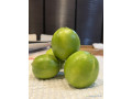 citron-limes-de-tahiti-small-0
