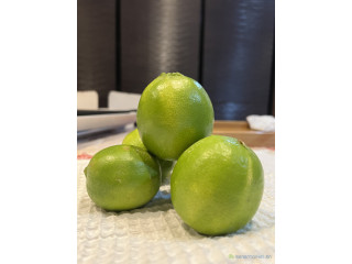 Citron - Limes de Tahiti