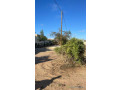 terrain-de-600-metres-carres-a-saly-small-0