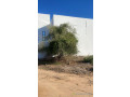 terrain-de-600-metres-carres-a-saly-small-1