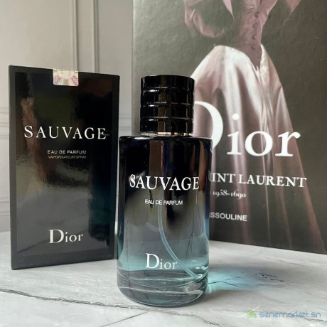 dior-sauvage-eau-de-parfum-big-2