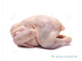 poulet-de-chair-2-kilo-500-a-vendre-small-1