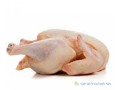 poulet-de-chair-2-kilo-500-a-vendre-small-2