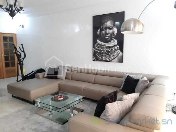 studio-meuble-a-louer-keur-gorgui-big-0