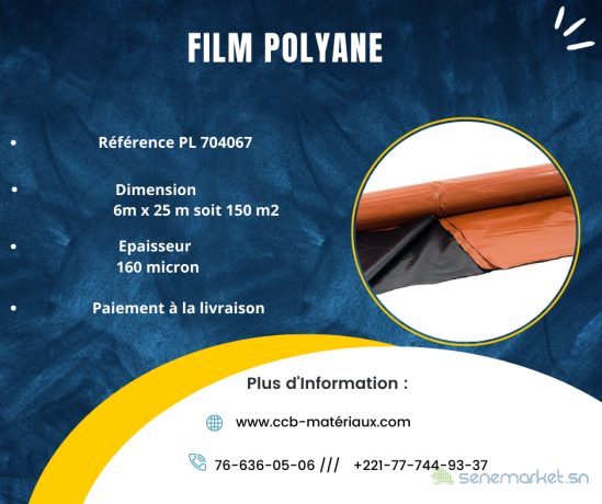 polyanes-big-0