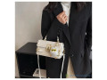sacoches-pour-femme-a-vendre-small-4