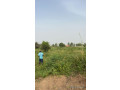 un-lot-de-terrains-de-1000-metres-carres-a-saly-small-1
