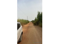 un-lot-de-terrains-de-1000-metres-carres-a-saly-small-3