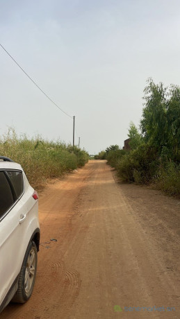 un-lot-de-terrains-de-1000-metres-carres-a-saly-big-3