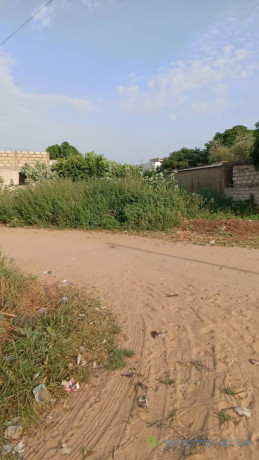 un-terrain-de-300-metres-carres-a-saly-big-3