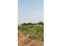 terrain-de-938-metres-carres-a-ngaparou-small-2