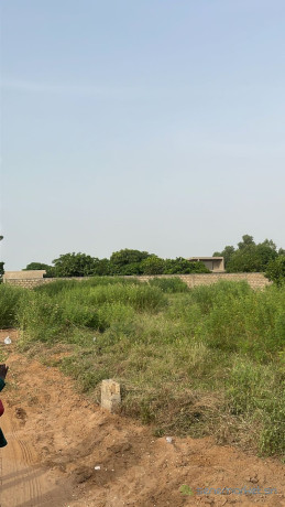 terrain-de-938-metres-carres-a-ngaparou-big-2