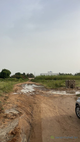 terrain-de-938-metres-carres-a-ngaparou-big-0