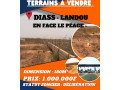 terrains-180m2-diass-landou-face-peage-small-0