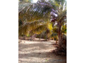 promotion-small-3