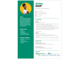 Création de CV professionnel à prix abordable