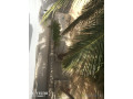 villa-a-louer-small-0