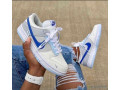 nike-sb-dunk-small-3