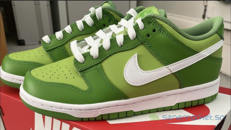 nike-sb-dunk-big-4