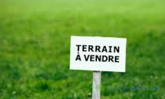 vente-de-terrain-big-0