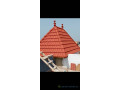 tuie-de-qualite-small-2