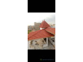 tuie-de-qualite-small-4
