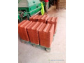 tuie-de-qualite-small-1