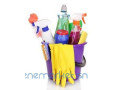 desinfection-desinsectisation-deratisation-small-4