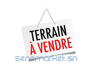 Terrain sacré cœur