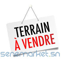 terrain-sacre-coeur-big-0