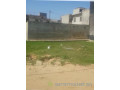 vends-terrain-small-0