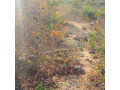 superbe-terrain-a-vendre-a-diass-small-2