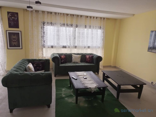 elegance-urbaine-appartement-meuble-vue-imprenable-big-2