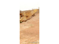 grue-fixe-pour-batiments-potain-646-g-small-2