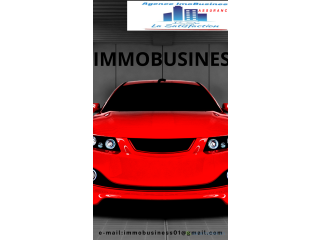 Assurance auto avec IMMO business